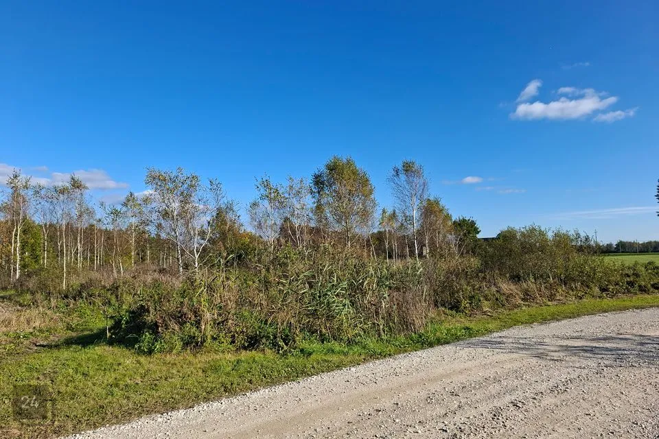 Maatulundusmaa, 5007 m² Maa  -  Lääne-Nigula vald, Linnamäe küla - foto 2