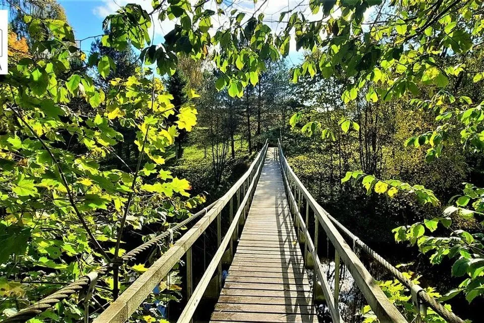 Maatulundusmaa, 7343 m² Maa - Tori vald, Nurme küla - foto 2