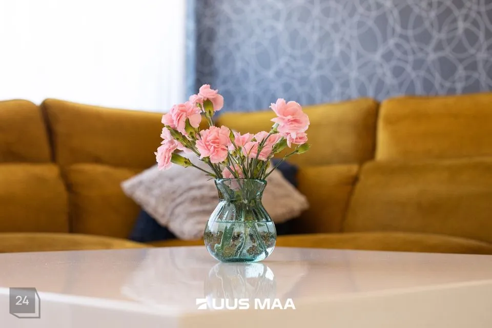 3-toaline Korter  -  Rae vald, Jüri alevik - foto 5