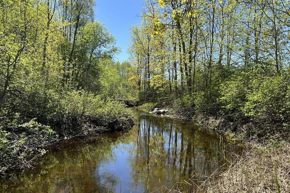 Maatulundusmaa, 33500 m² Maa  -  Märjamaa vald, Käbiküla - foto 3