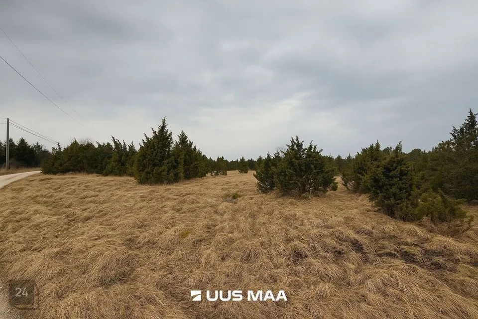 Maatulundusmaa, 23539 m² Maa  -  Lääneranna vald, Saulepi küla - foto 3