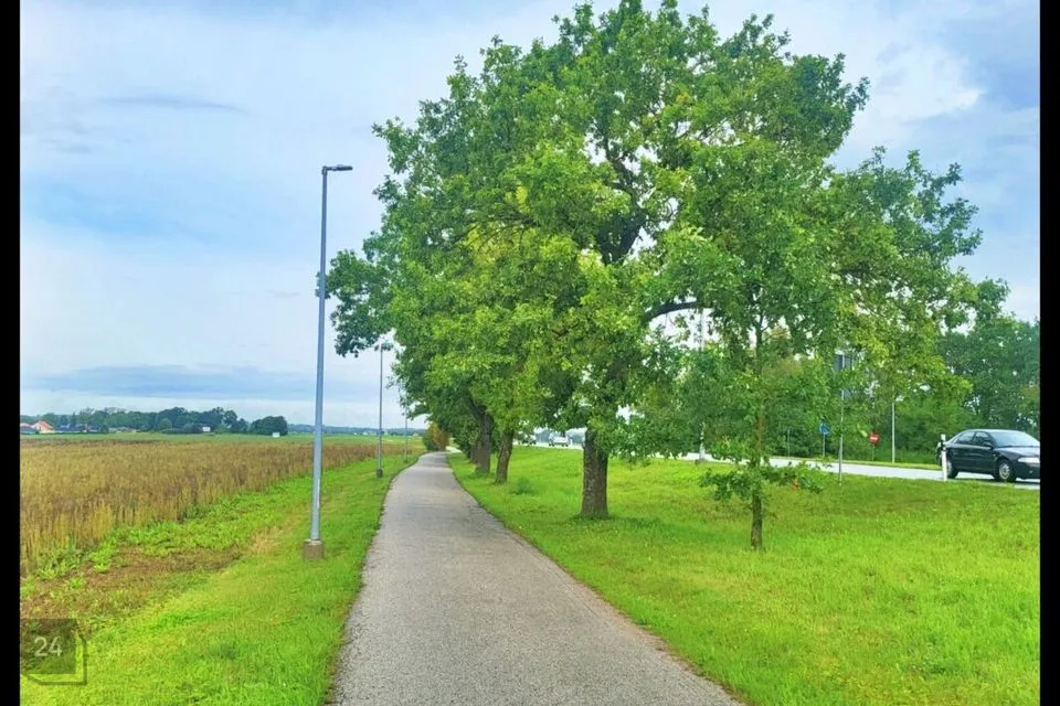 Maatulundusmaa, 77035 m² Maa - Tartu vald, Vahi alevik - foto 5