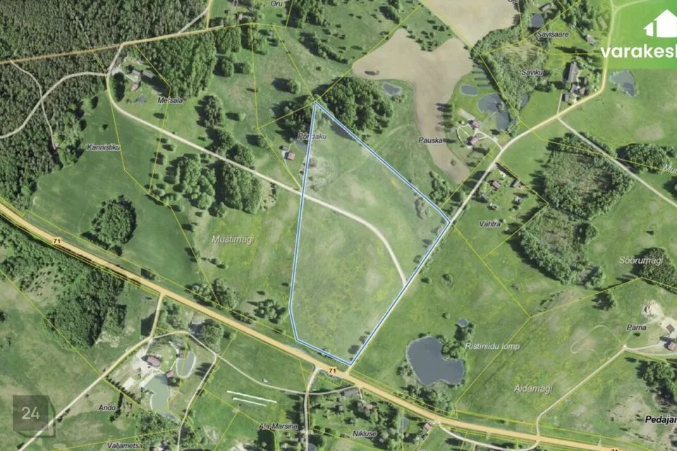 Maatulundusmaa, 100035 m² Maa - Otepää vald, Pedajamäe küla - foto 5