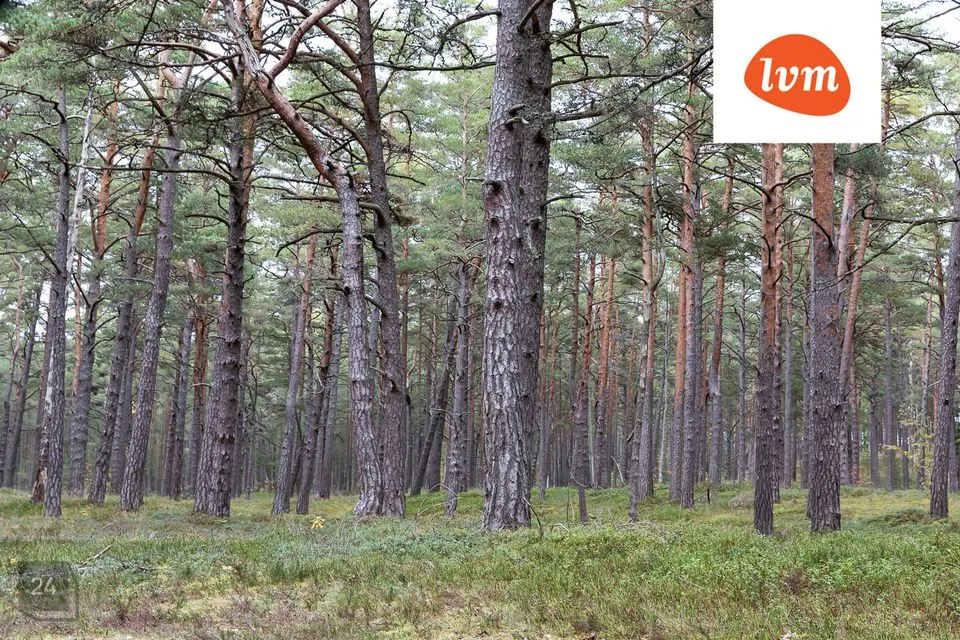 Земля жилой застройки, 6904 m² участок в Häädemeeste vald, Häädemeeste alevik