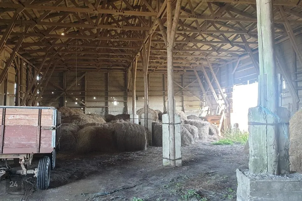 Tootmine, 12313 m² Äripind  -  Jõgeva vald, Teilma küla - foto 3
