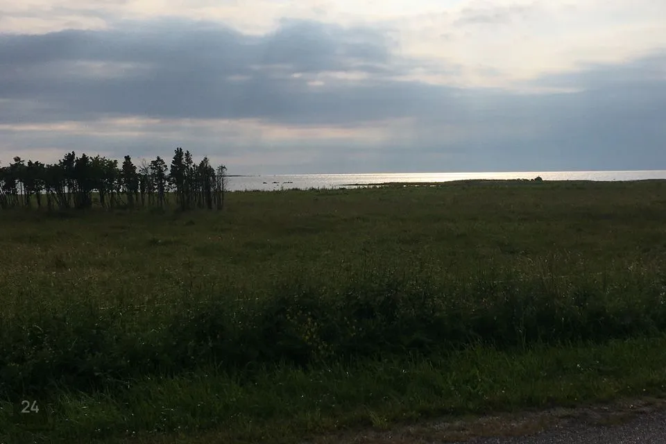 Elamumaa, 17508 m² Maa - Lääne-Nigula vald, Riguldi küla / Rickul - foto 3