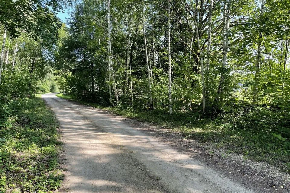 Maatulundusmaa, 10934 m² Maa  -  Saaremaa vald, Väike-Võhma küla - foto 2