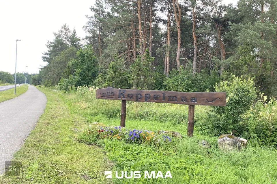 Maatulundusmaa, 11171 m² Maa  -  Saue vald, Koppelmaa küla - foto 3