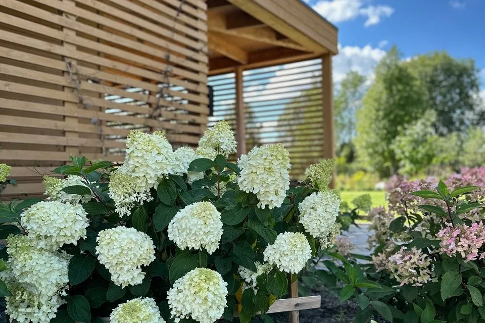 5-toaline Maja - Saaremaa vald, Kuressaare linn - foto 2