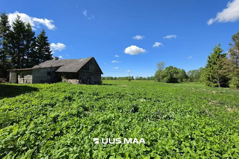 Земля жилой застройки, 15133 m² участок в Tapa vald, Tõõrakõrve küla - фото 4