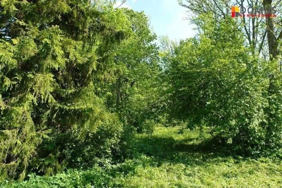 Maatulundusmaa, 18000 m² Maa - Raasiku vald, Pikavere küla - foto 2