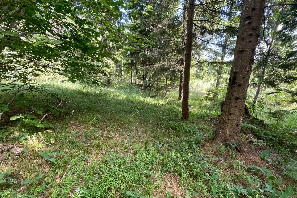 Ärimaa, 41296 m² Maa - Lääne-Nigula vald, Peraküla - foto 5
