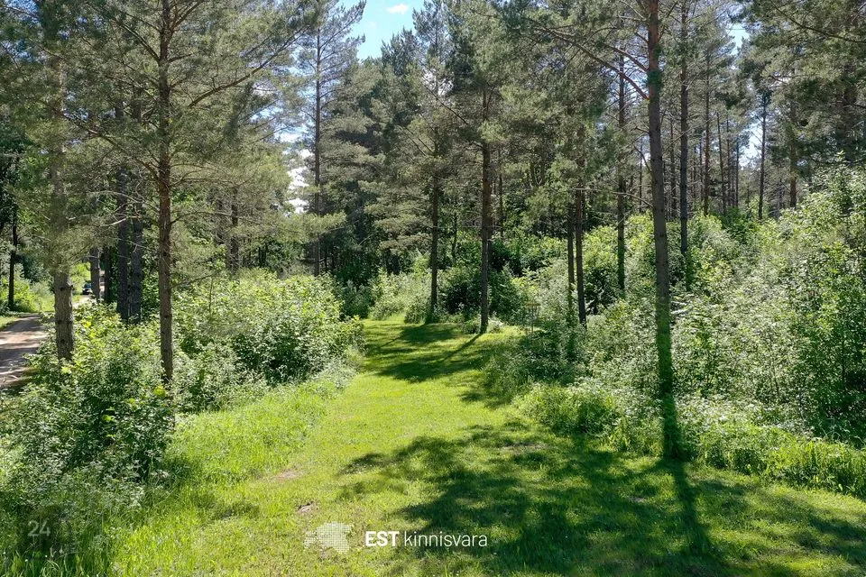 Maatulundusmaa, 66131 m² участок в Saaremaa vald, Valjala alevik - фото 2