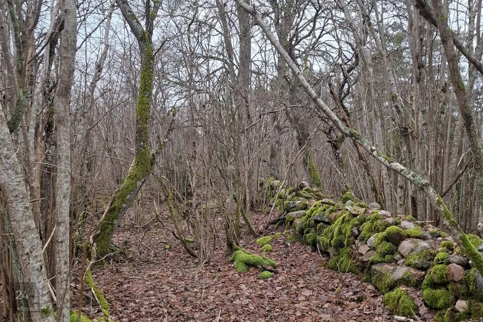 Maatulundusmaa, 7399 m² Maa - Saaremaa vald, Muratsi küla - foto 3