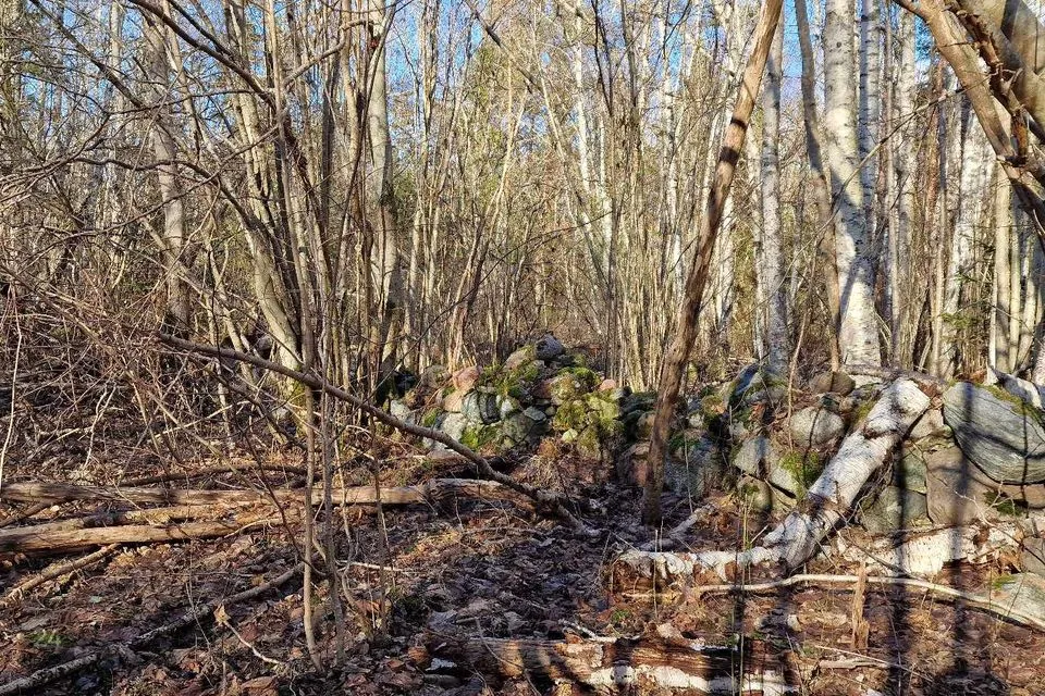 Maatulundusmaa, 3355 m² Maa  -  Saaremaa vald, Kotlandi küla - foto 4