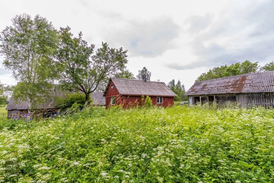 54 m² Summer home in Antsla vald, Savilöövi küla - photo 3