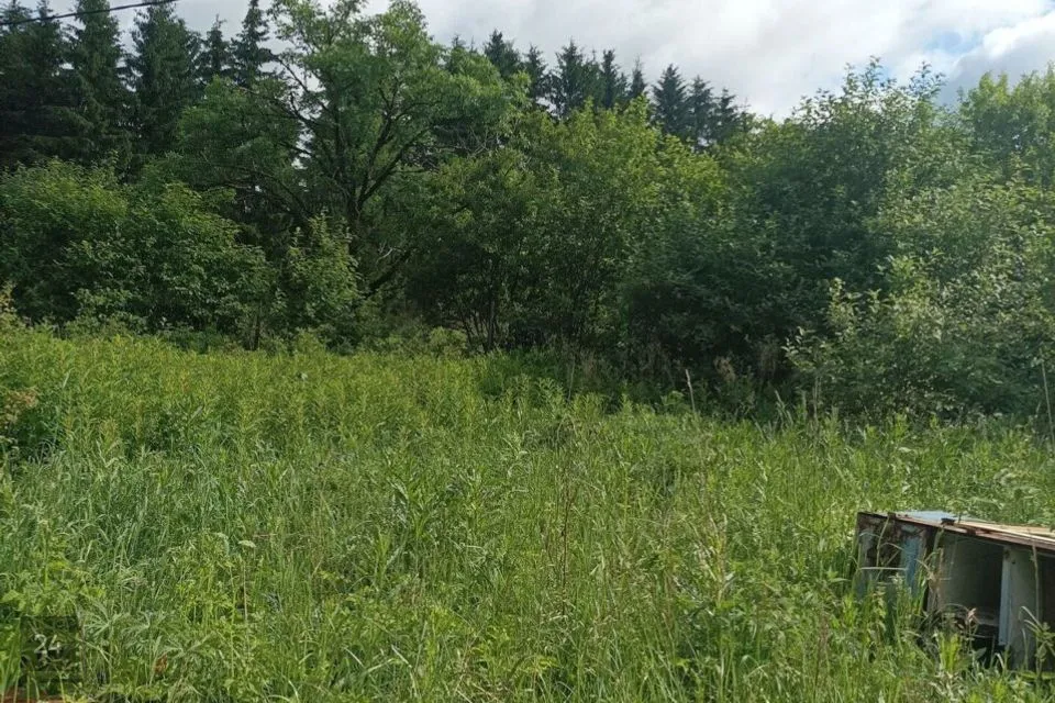 Tootmismaa, 2562 m² Maa  -  Rapla vald, Järlepa küla - foto 3