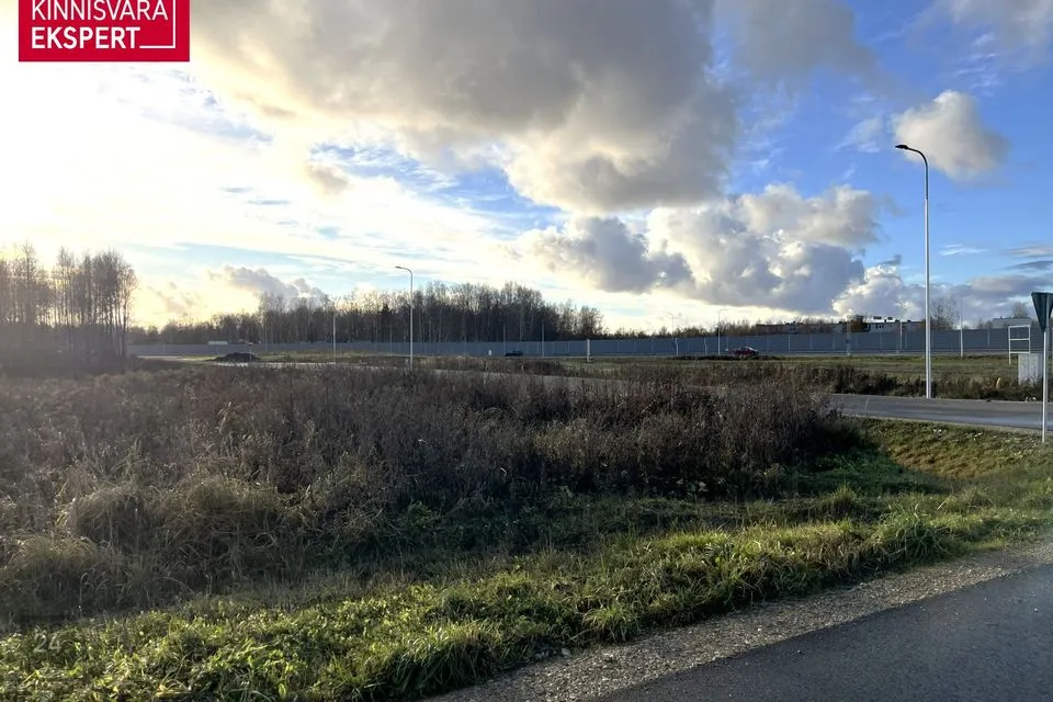 Elamumaa, 4978 m² Maa - Tori vald, Sauga alevik - foto 2