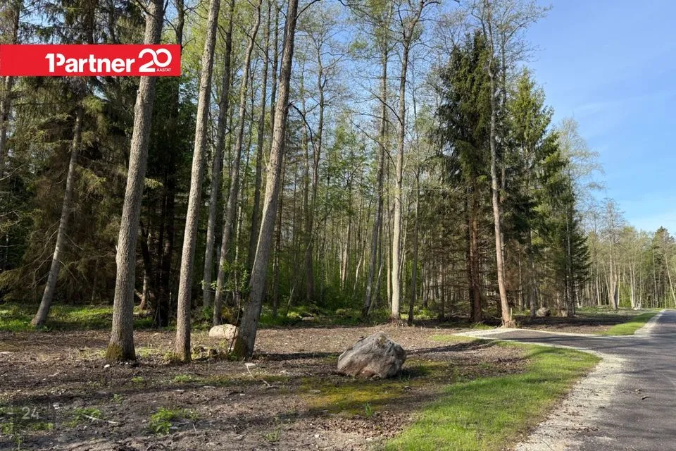 Elamumaa, 4294 m² Maa  -  Harku vald, Suurupi küla - foto 5