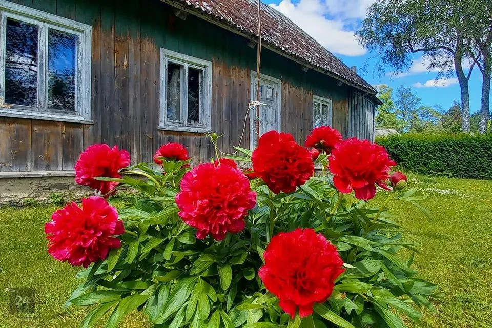 4-toaline Maja - Hiiumaa vald, Viilupi küla - foto 3
