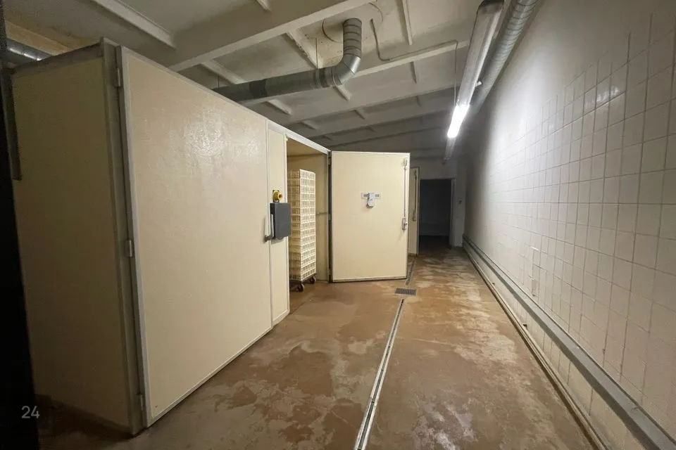 Tootmine või Ladu, 1350 m² Äripind - Jõelähtme vald, Loo alevik - foto 4