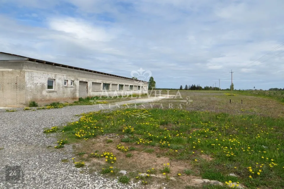 Ladu või Tootmine, 1320 m² Äripind - Kastre vald, Aardla küla - foto 3