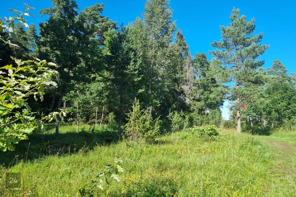 Maatulundusmaa, 14818 m² Maa - Lääne-Nigula vald, Vedra küla - foto 4