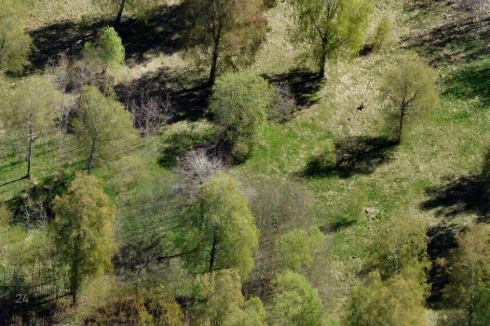 Maatulundusmaa, 58470 m² Maa  -  Jõgeva vald, Vaimastvere küla - foto 3