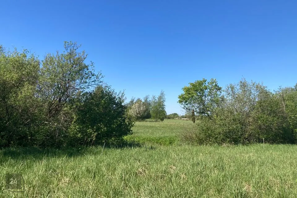 Maatulundusmaa, 10695 m² Maa - Saaremaa vald, Virita küla - foto 3