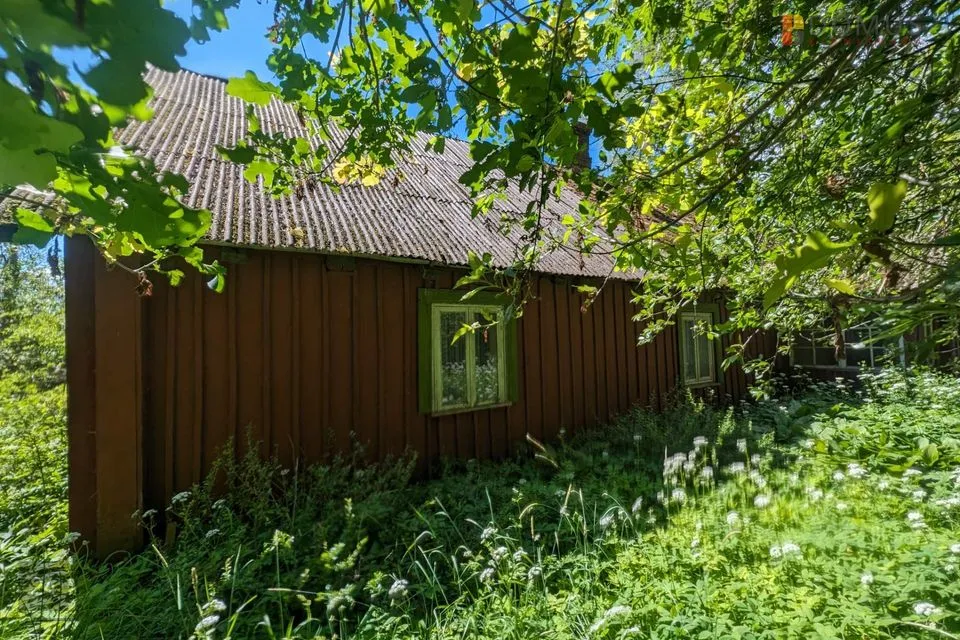 100000 m² Maa  -  Valga vald, Hargla küla - foto 4