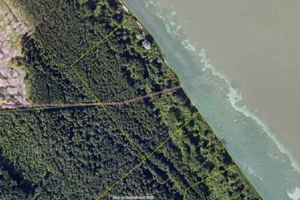 Maatulundusmaa, 42543 m² Maa  -  Viljandi vald, Kalbuse küla