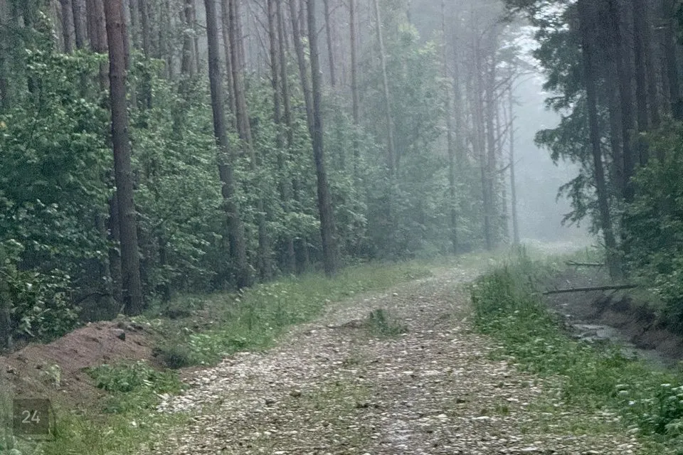 Elamumaa, 60000 m² Maa - Hiiumaa vald, Mudaste küla