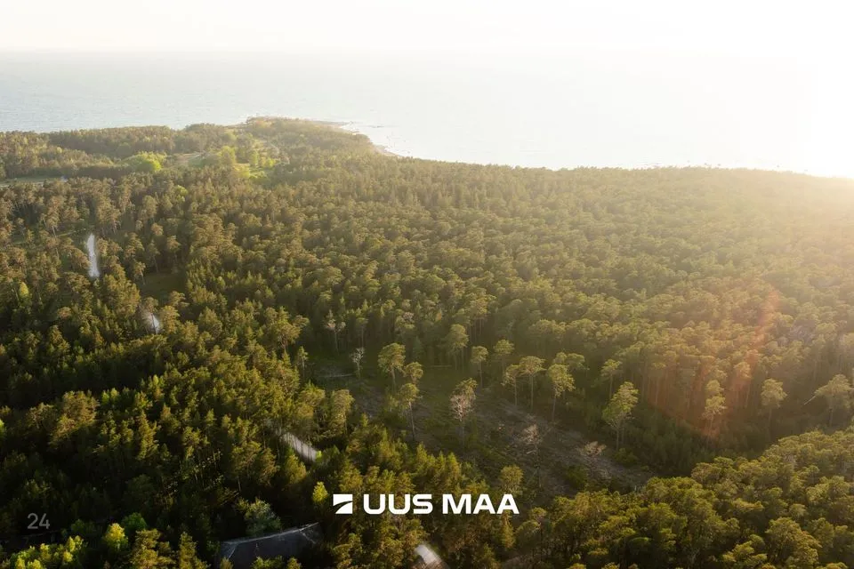Elamumaa, 10900 m² Maa  -  Hiiumaa vald, Kalana küla - foto 4