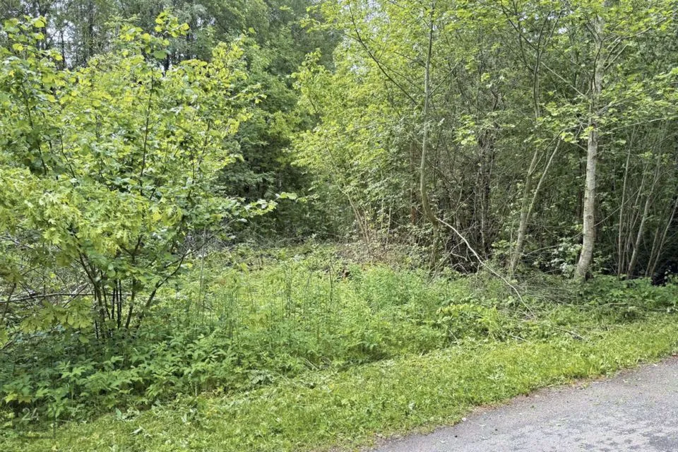 Elamumaa, 49164 m² Maa  -  Jõelähtme vald, Kallavere küla - foto 4