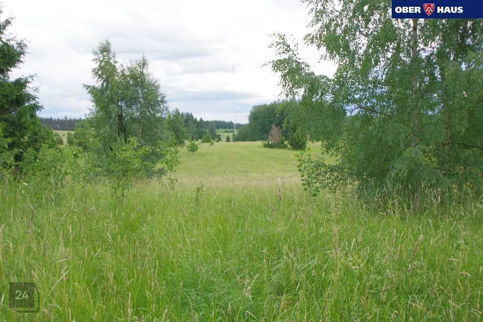 Maatulundusmaa, 181700 m² Maa  -  Kastre vald, Alaküla - foto 5