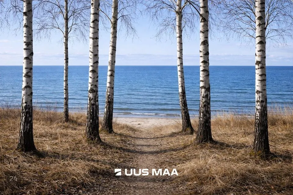 Земля жилой застройки, 35678 m² участок в Hiiumaa vald, Tohvri küla - фото 2