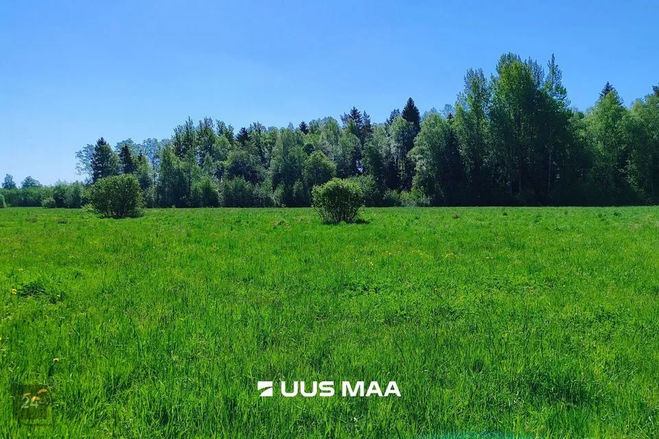 Maatulundusmaa, 29594 m² участок в Lääne-Harju vald, Suurküla - фото 4