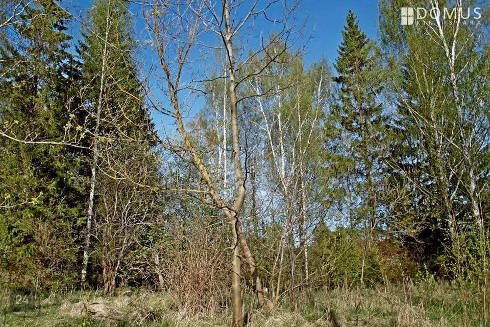 Земля социального назначения - земля общего назначения, 6010 m² участок в Tori vald, Sindi linn - фото 2