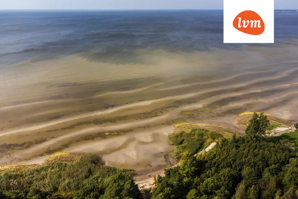 Elamumaa, 1876 m² Maa  -  Häädemeeste vald, Reiu küla - foto 5