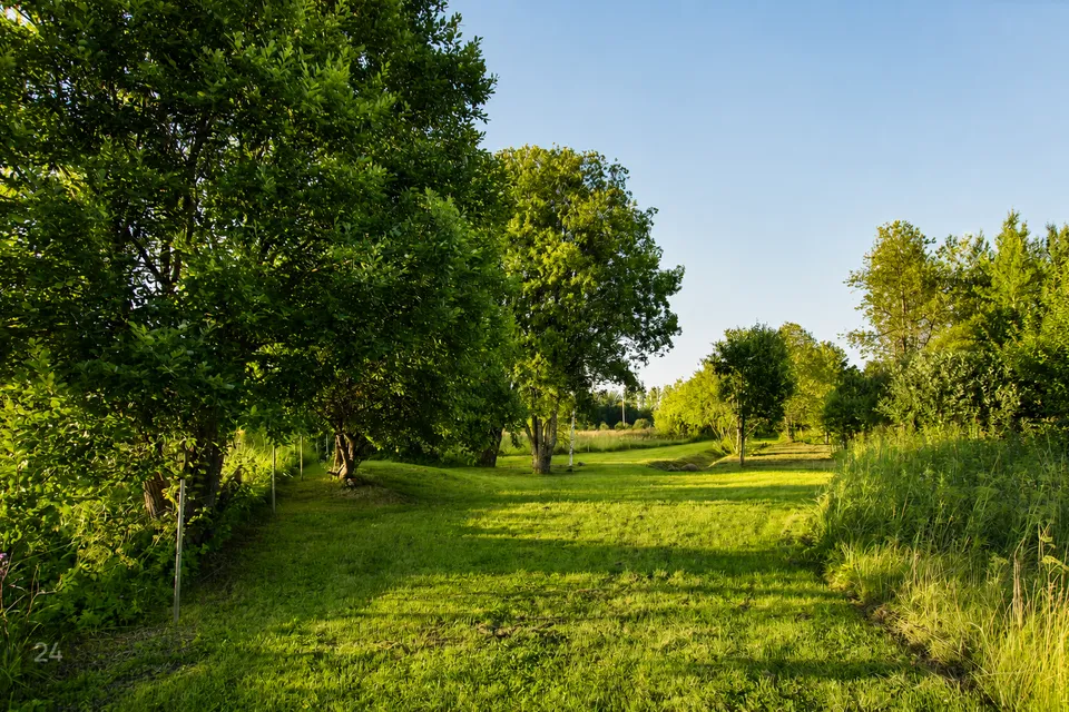 Maatulundusmaa, 9677 m² Maa  -  Raasiku vald, Tõhelgi küla - foto 2