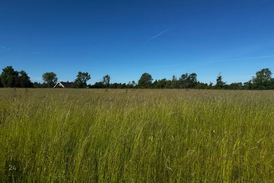 Elamumaa, 10522 m² Maa - Saaremaa vald, Suure-Rootsi küla