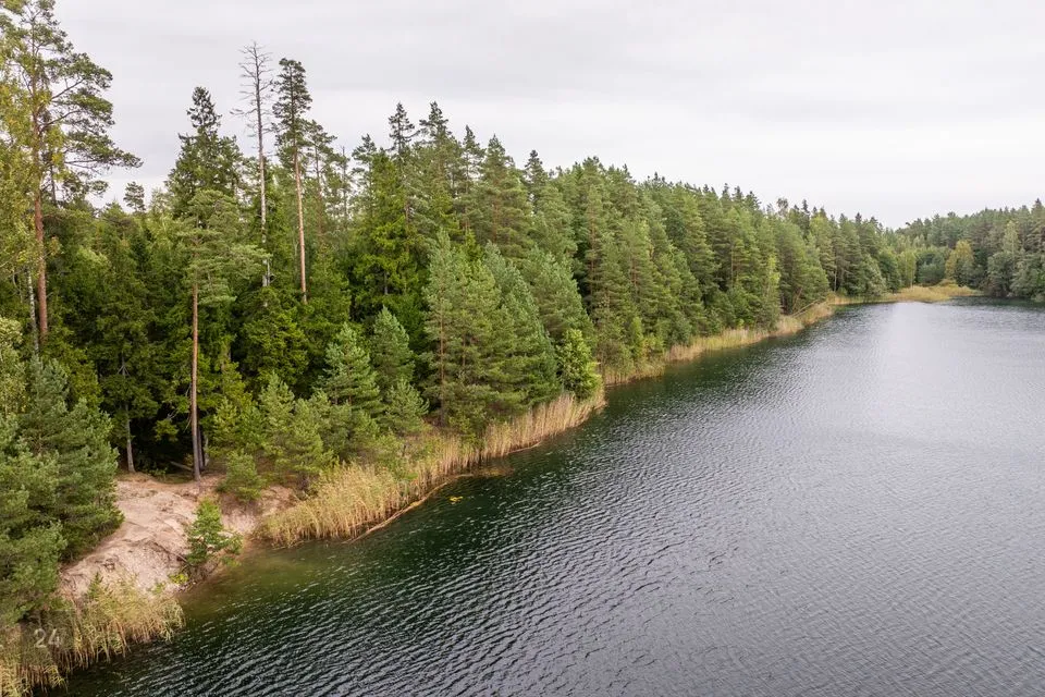 Sotsiaalmaa - üldkasutatav maa või Ärimaa, 25883 m² Maa  -  Pärnu linn, Seljametsa küla - foto 5