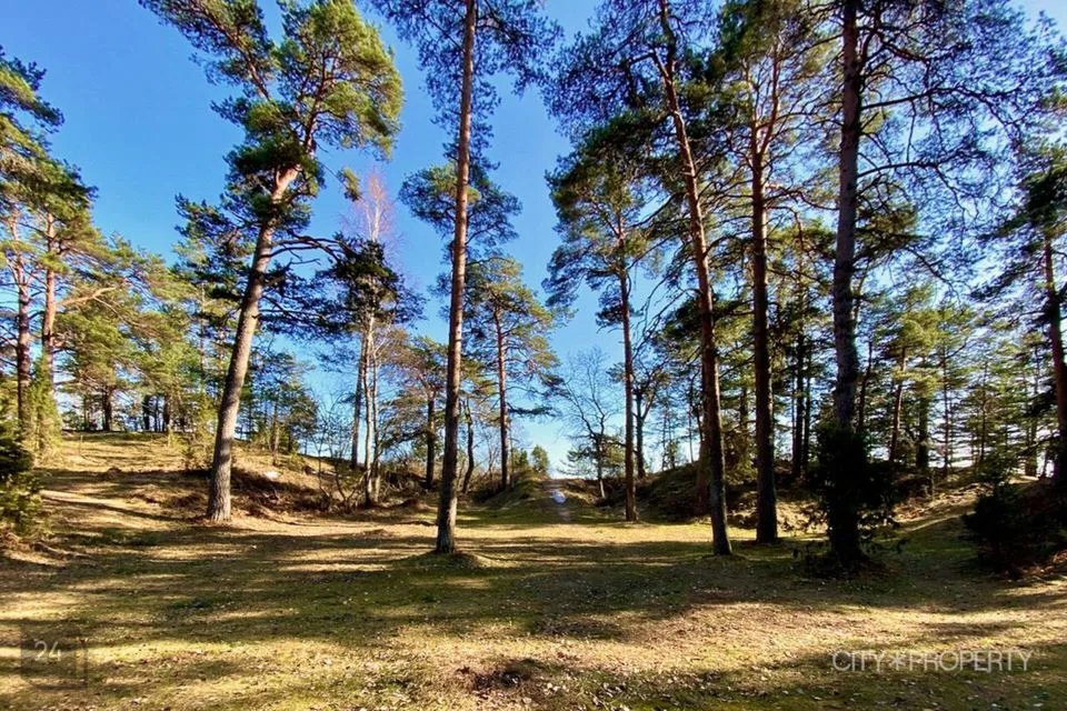 Residential land, 3402 m² land in Alutaguse vald, Katase küla - photo 3