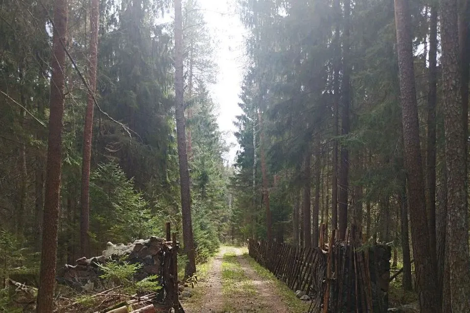 Земля жилой застройки, 29790 m² участок в Saku vald, Tagadi küla - фото 2