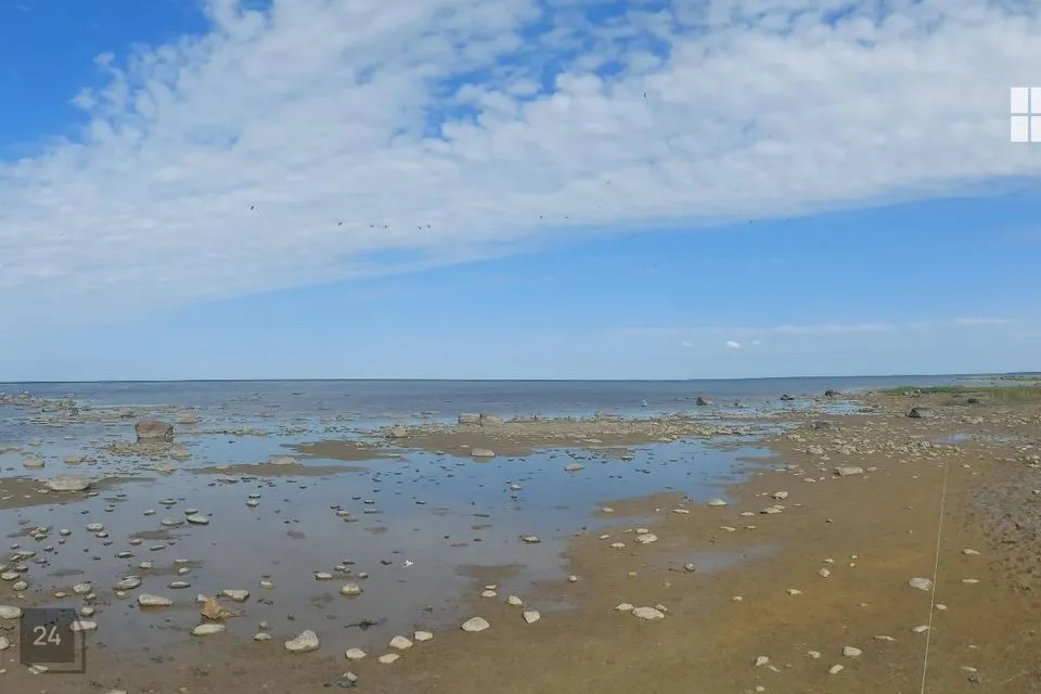 Sihtotstarbeta maa, 96673 m² Maa  -  Saaremaa vald, Pammana küla - foto 4