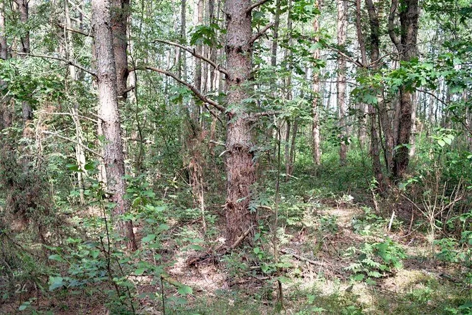 Maatulundusmaa, 9454 m² Maa - Hiiumaa vald, Jausa küla - foto 2