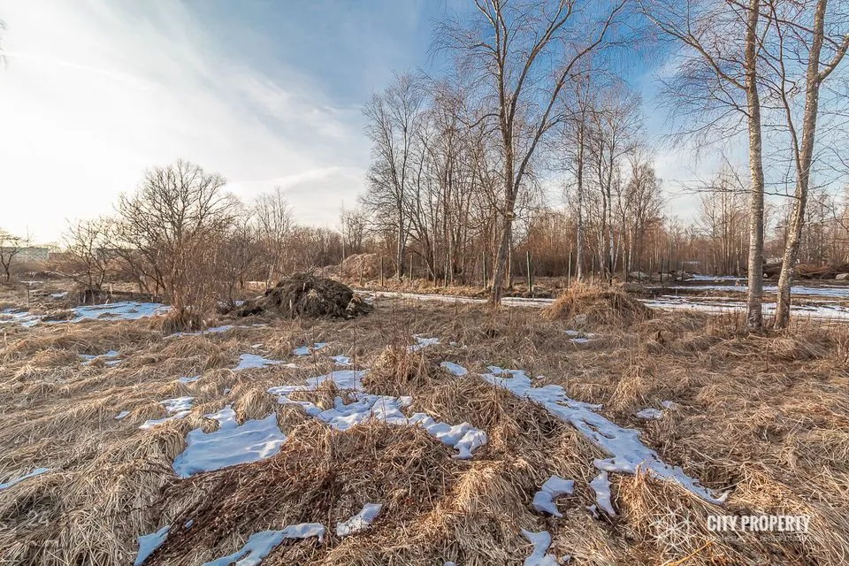 Maatulundusmaa, 868 m² Maa  -  Jõelähtme vald, Kallavere küla - foto 3
