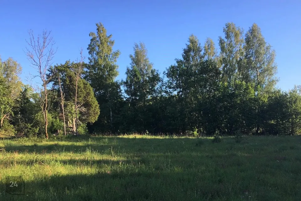 Maatulundusmaa, 22100 m² Maa  -  Saaremaa vald, Ridala küla - foto 2