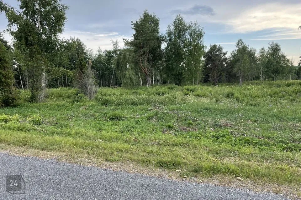 Maatulundusmaa, 17814 m² Maa  -  Viru-Nigula vald, Mahu küla - foto 5