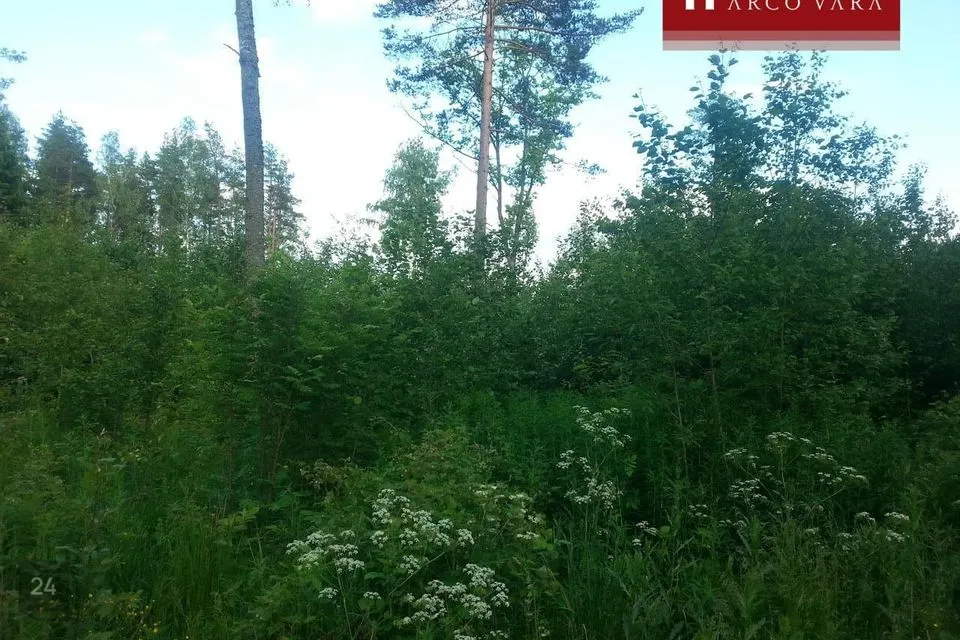 Elamumaa, 1115 m² Maa  -  Rapla vald, Pirgu küla - foto 2